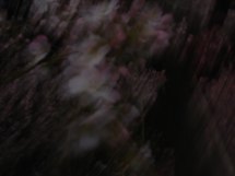DSC05116.jpg