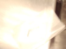 DSC08008.jpg
