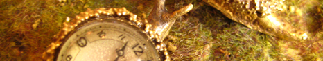 466_018.jpg