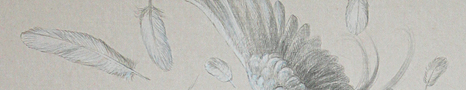1807_torinokoe_bunner.jpg